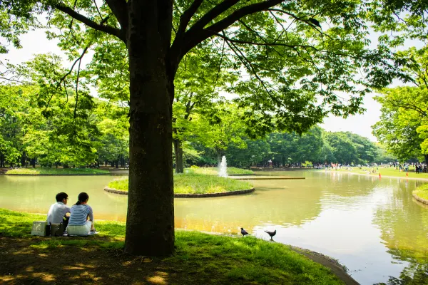Two people sitting beneath a tree beside a park pond