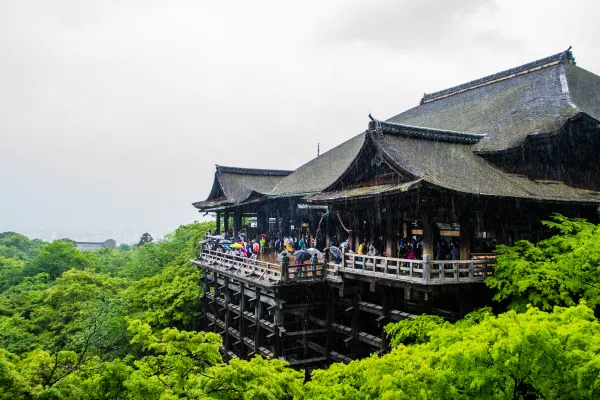 A large wooden temple terrace overlooking vivid green treetops