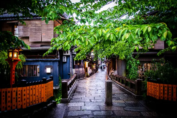 A rain-soaked stone path leading beneath green branches into a small shrine