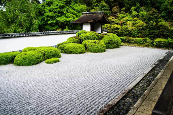 Raked white gravel surrounding rounded green shrubs in a temple garden