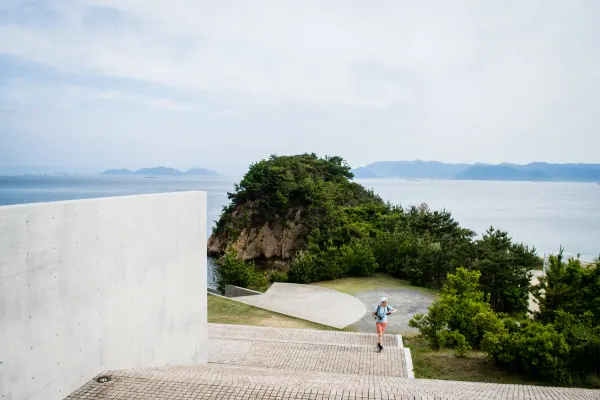 A visitor climbing broad concrete steps above a wooded coastline