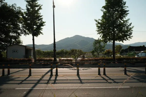 Long tree and railing shadows crossing a quiet road beneath distant hills