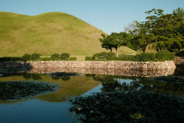 Grassy mounds and a stone wall reflected in a pond