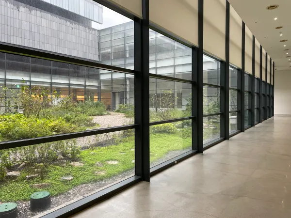 A long glass corridor overlooking a green courtyard