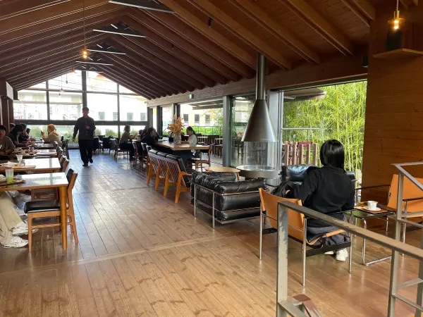 Sunlight through the wooden beams of a garden cafe