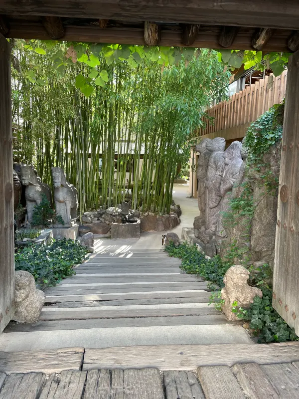 A shaded stone stairway winding through bamboo