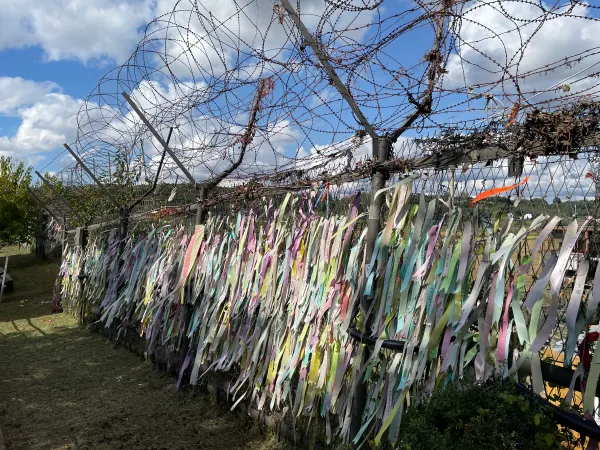 Colourful ribbons tied along a fence near the DMZ