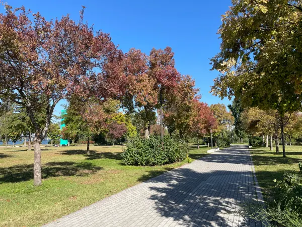 An autumn park path beneath red and gold leaves