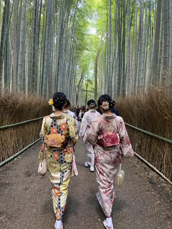 Two women in kimono walking along a path through tall bamboo