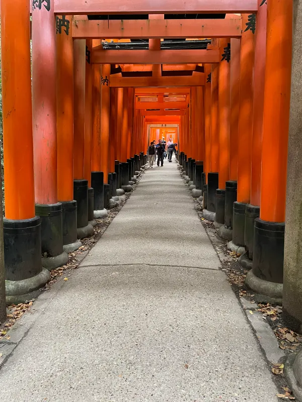 A long corridor of orange shrine gates