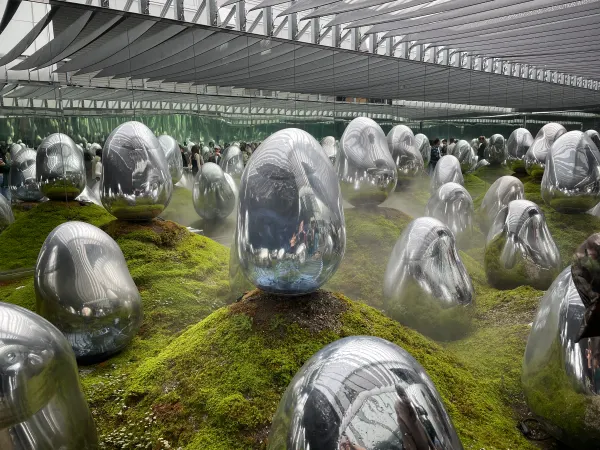 Polished silver forms in a green garden