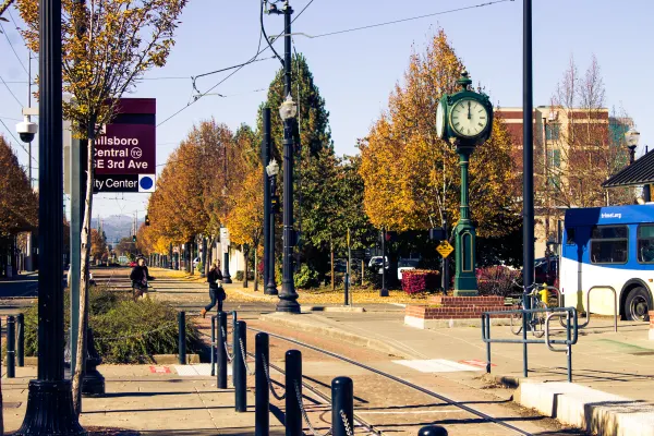 Autumn trees and a street clock beside the tram tracks