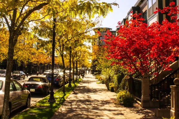Red and golden autumn leaves along a residential sidewalk
