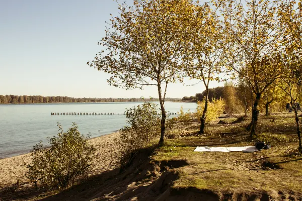 Trees and a sandy bank beside a quiet river