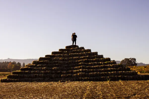 A lone figure on a pyramid of hay bales
