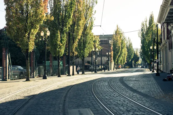 Curving tram rails along a tree-lined street