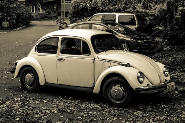 A Volkswagen Beetle parked among fallen leaves