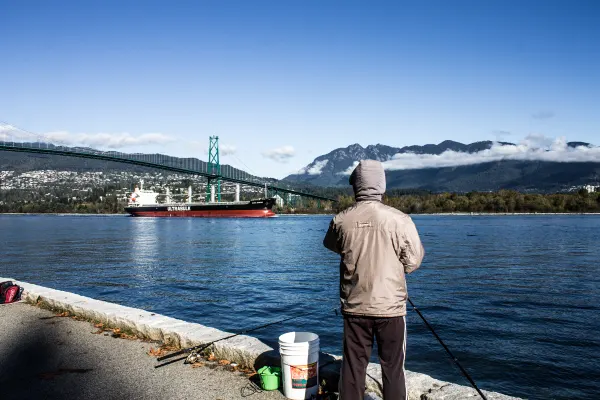 A person fishing beside the harbour with Lions Gate Bridge beyond