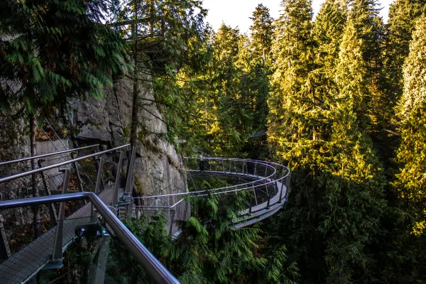 A curved walkway suspended beside a forested cliff