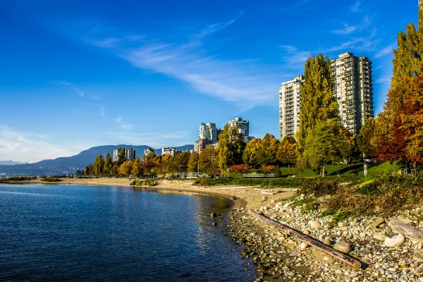 Autumn trees along a curving waterfront path