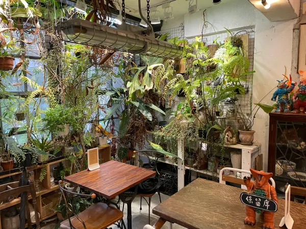 Lush plants surrounding a wooden café interior