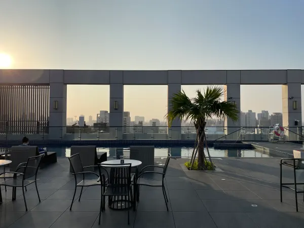 A rooftop pool and palm tree overlooking the city at dusk