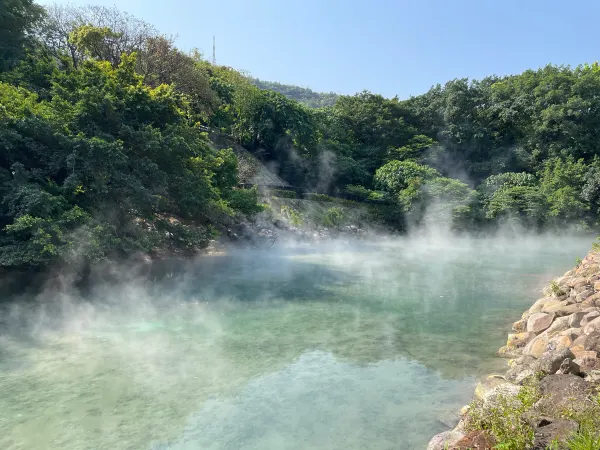 Steam drifting across a green hot-spring pool surrounded by trees
