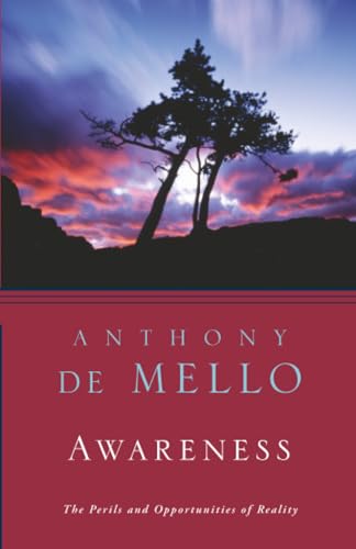 Cover of Awareness: The Perils and Opportunities of Reality